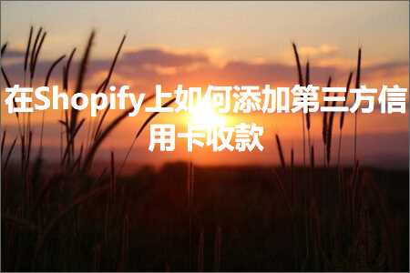 璺ㄥ鐢靛晢鐭ヨ瘑:鍦⊿hopify涓婂浣曟坊鍔犵涓夋柟淇＄敤鍗℃敹娆? width=