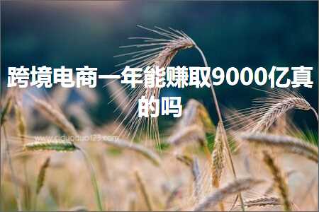 跨境电商知识:跨境电商一年能赚取9000亿真的吗