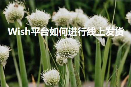 跨境电商知识:Wish平台如何进行线上发货