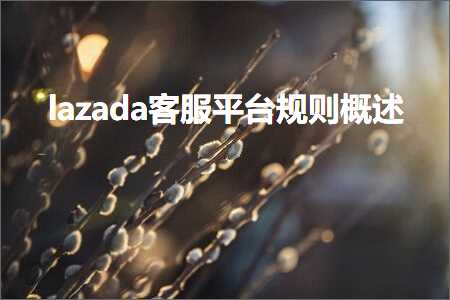 跨境电商知识:lazada客服平台规则概述