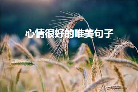 蹇冩儏寰堝ソ鐨勫敮缇庡彞瀛愶紙鏂囨876鏉★級