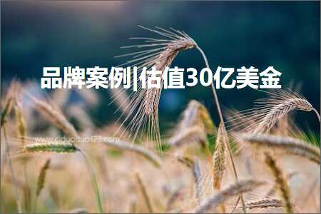 跨境电商知识:品牌案例|估值30亿美金