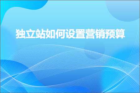 跨境电商知识:独立站如何设置营销预算