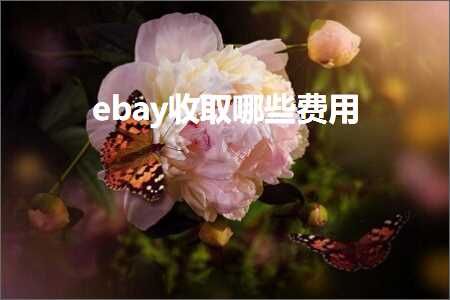 璺ㄥ鐢靛晢鐭ヨ瘑:ebay鏀跺彇鍝簺璐圭敤