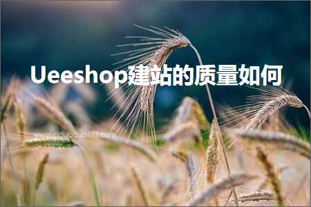 璺ㄥ鐢靛晢鐭ヨ瘑:Ueeshop寤虹珯鐨勮川閲忓浣? width=