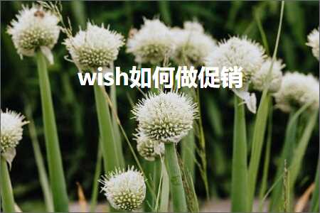 跨境电商知识:wish如何做促销